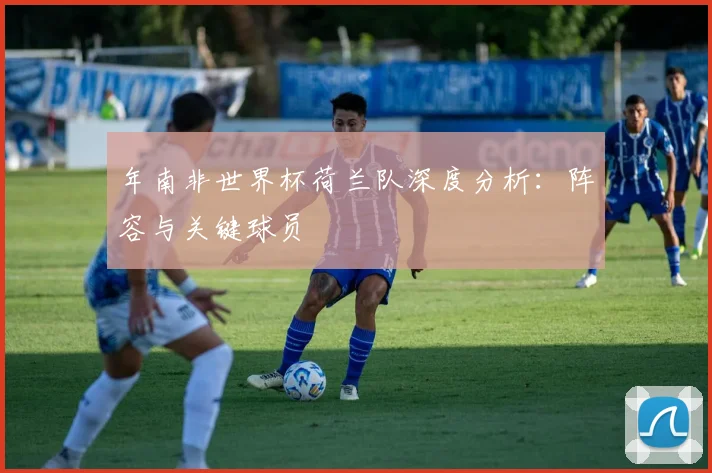 年南非世界杯荷兰队深度分析：阵容与关键球员