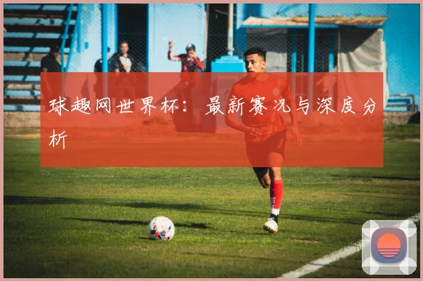 球趣网世界杯：最新赛况与深度分析