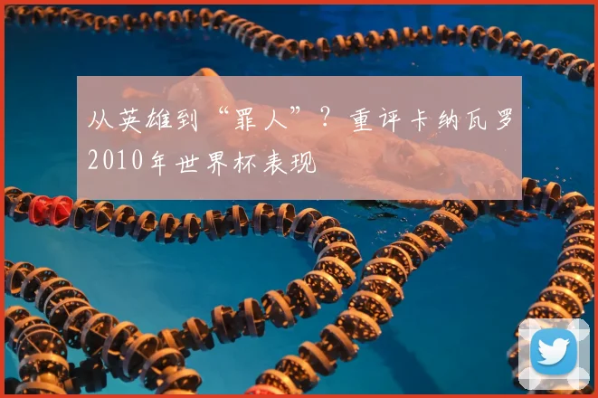 从英雄到“罪人”？重评卡纳瓦罗2010年世界杯表现