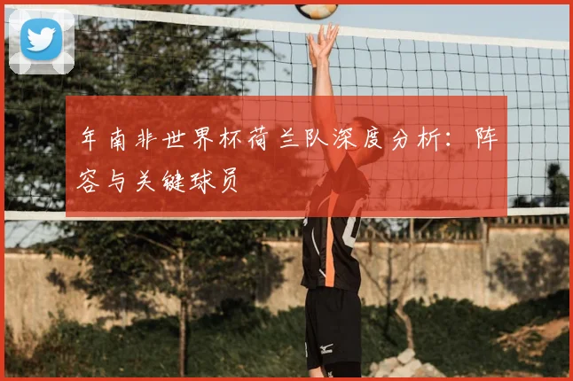年南非世界杯荷兰队深度分析:阵容与关键球员