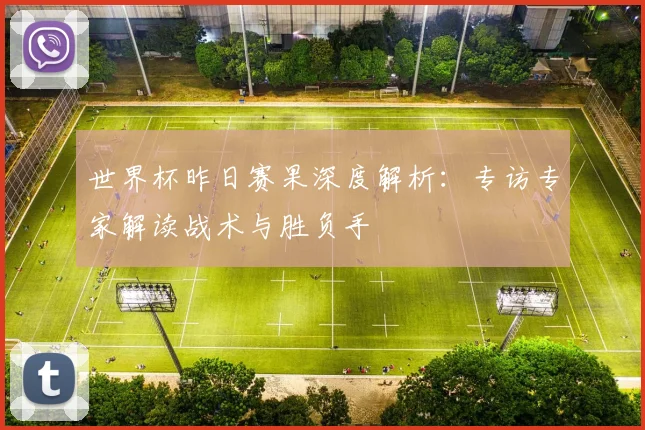 世界杯昨日赛果深度解析：专访专家解读战术与胜负手