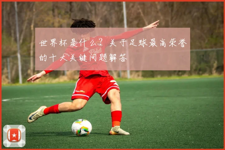 世界杯是什么？关于足球最高荣誉的十大关键问题解答