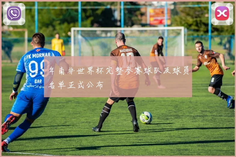 年南非世界杯完整参赛球队及球员名单正式公布