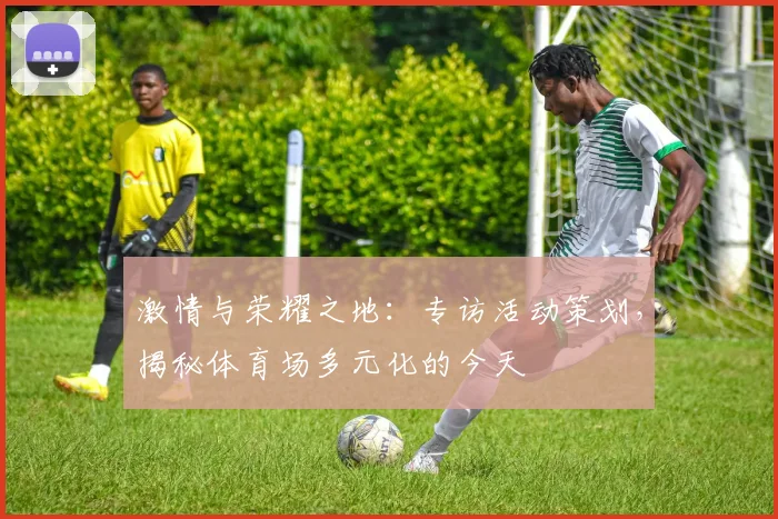 激情与荣耀之地：专访活动策划，揭秘体育场多元化的今天